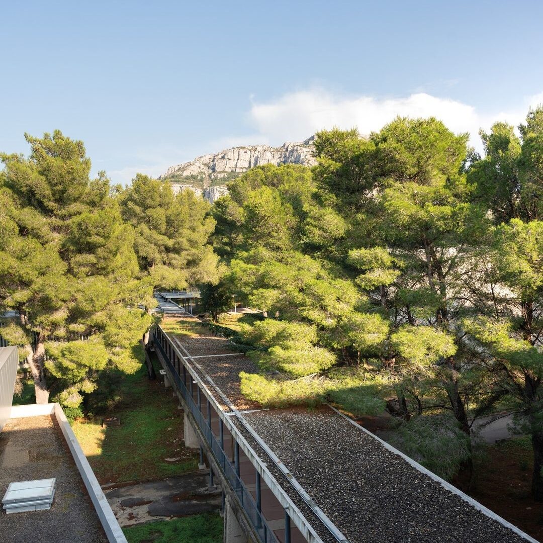 Bâtiment caché par la végétation sur la commune de Marseille